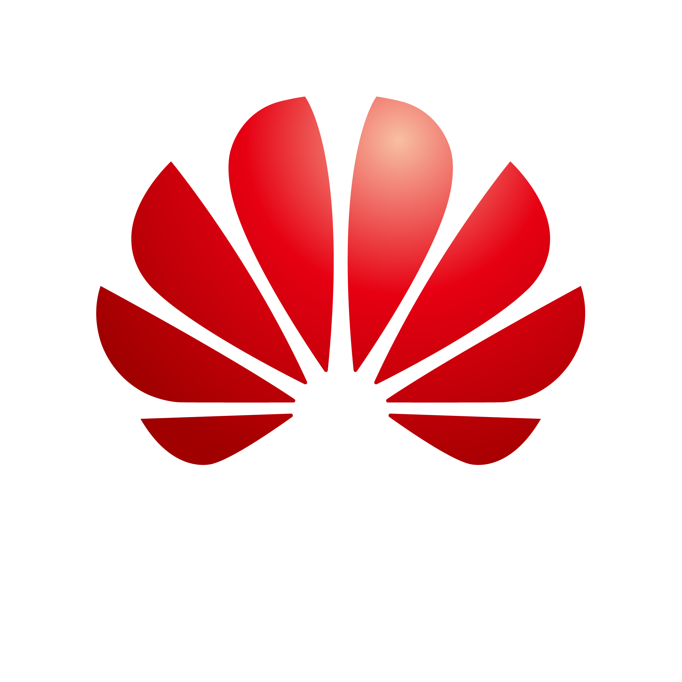 Huawei Logo
